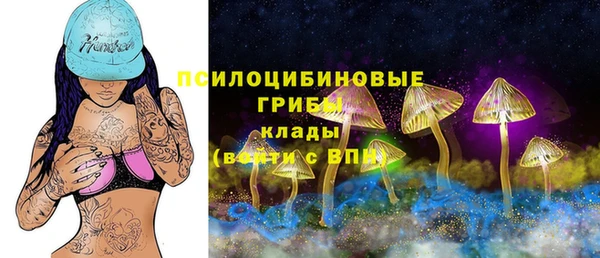 ГАЛЛЮЦИНОГЕННЫЕ ГРИБЫ Белоозёрский