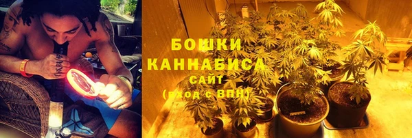 ГАЛЛЮЦИНОГЕННЫЕ ГРИБЫ Белоозёрский